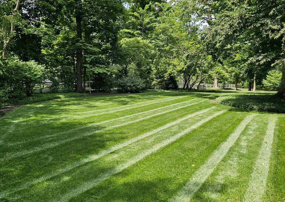 Lawn Care & Landscaping Services in Zionsville IN